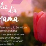 las mejores frases cristianas para honrar a mama en su dia celebra a las madres con amor y fe