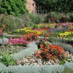 las mejores frases inspiradoras para jardineros descubre la pasion por la naturaleza