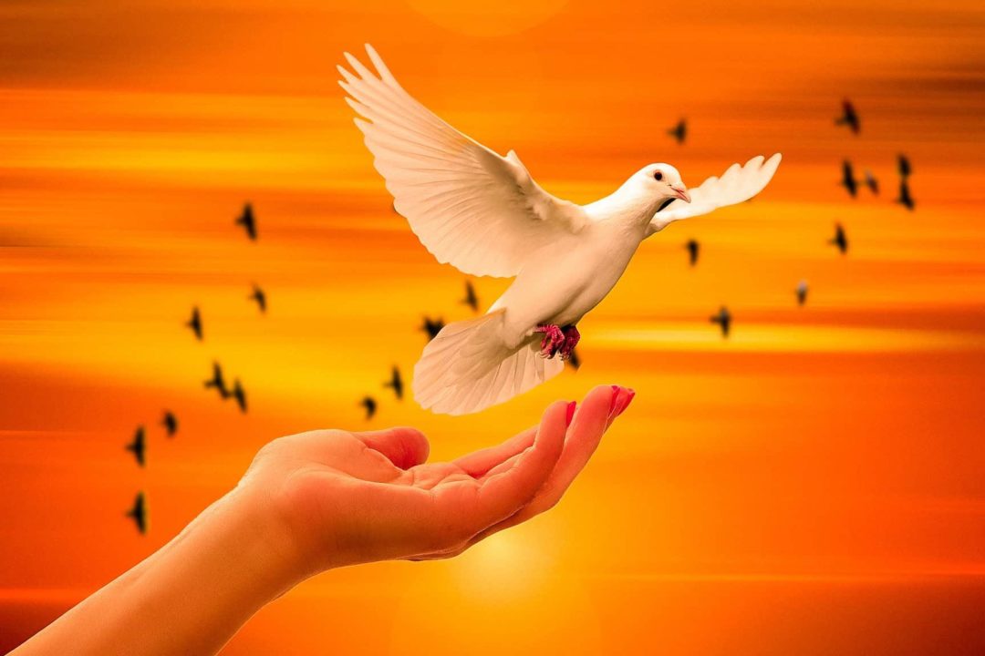 37 frases de paz inspiradoras y reflexivas para encontrar la armonia interior