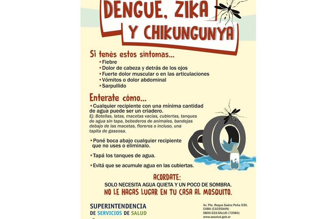 38 frases efectivas para prevenir el dengue y chikungunya protegete y cuida tu salud