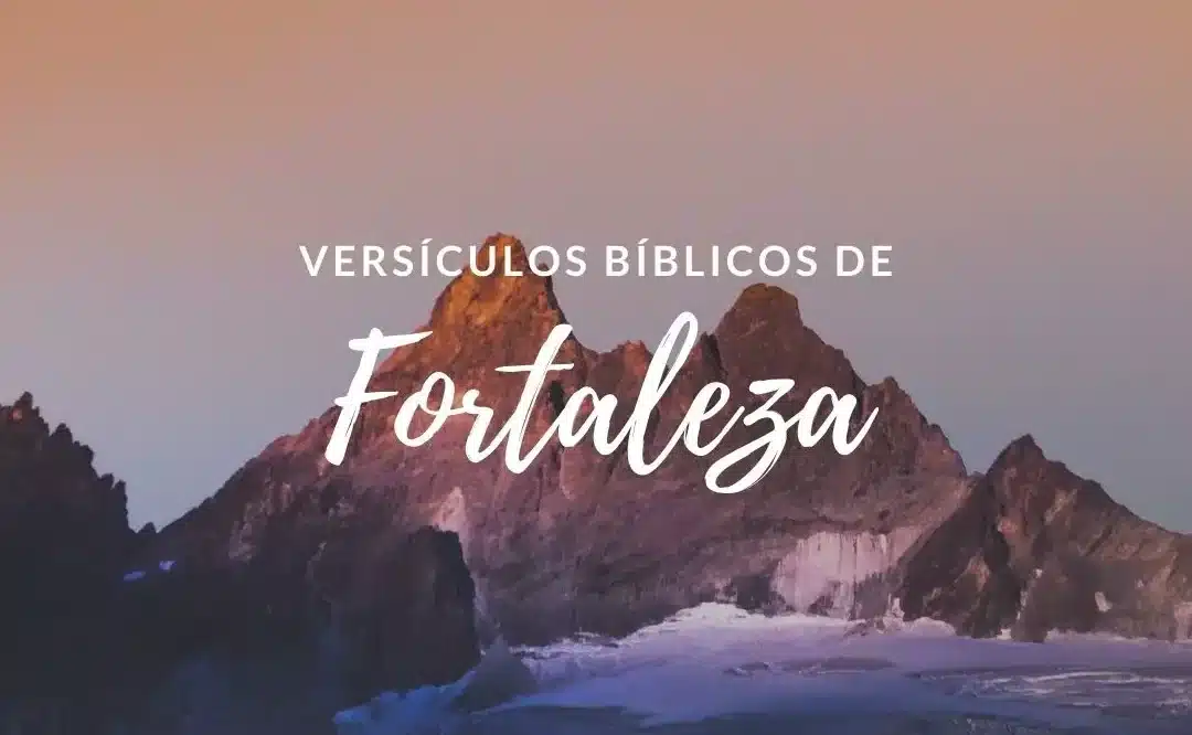 41 frases biblicas de la familia descubre la sabiduria y fortaleza en la palabra de dios
