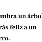 30 frases sarcasticas de desinteres que te haran reir a carcajadas