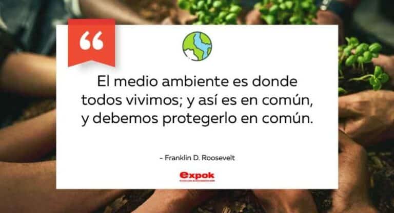 41 Frases Inspiradoras Para Cuidar El Agua Y Preservar Nuestro Planeta 6649