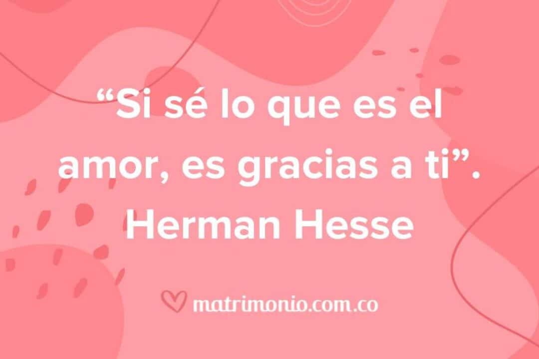 41 frases dedicatorias expresa tus sentimientos con palabras