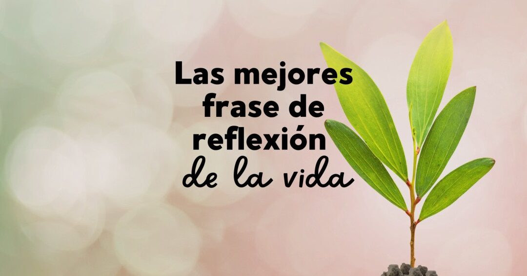 43 frases inspiradoras de mahatma gandhi sobre el amor: Reflexiones que ...