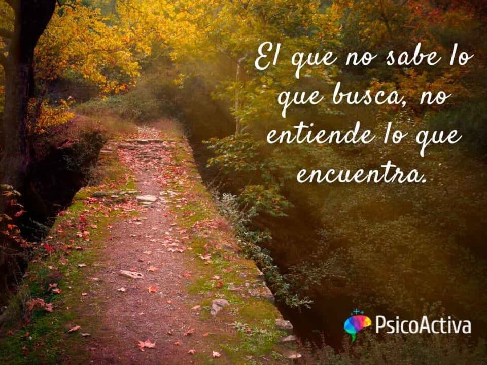 35 sabias frases para reflexionar sobre la vida y encontrar inspiracion