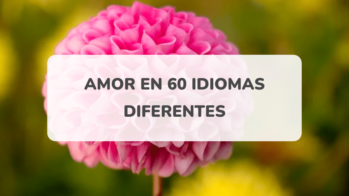 41 frases de amor en distintos idiomas expresa tus sentimientos en varias lenguas