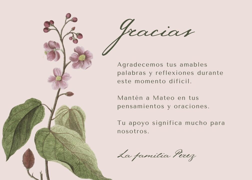 42 frases creativas para tarjetas de agradecimiento expresa tu gratitud de forma especial