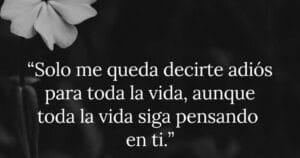 30 emotivas frases para recordar a mi esposo fallecido: Honra su memoria con amor