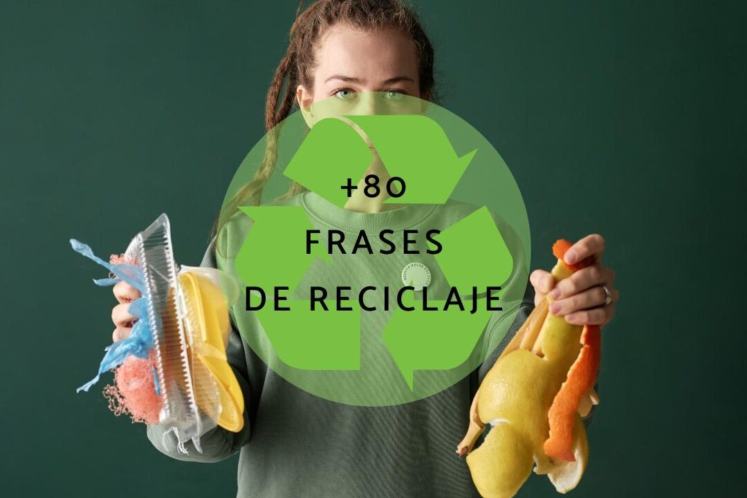 50 frases impactantes sobre la basura organica e inorganica que debes conocer